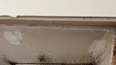 This is a picture of what the “BIG” roaches leave behind. Photo